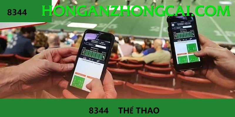 Cá Cược Thể Thao - nk88